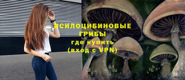 стаф Балахна