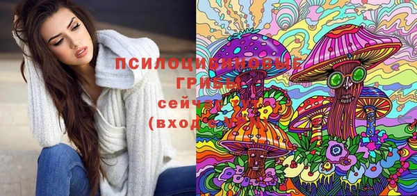 стаф Балахна