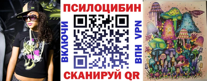 Псилоцибиновые грибы Psilocybe  Вяземский 